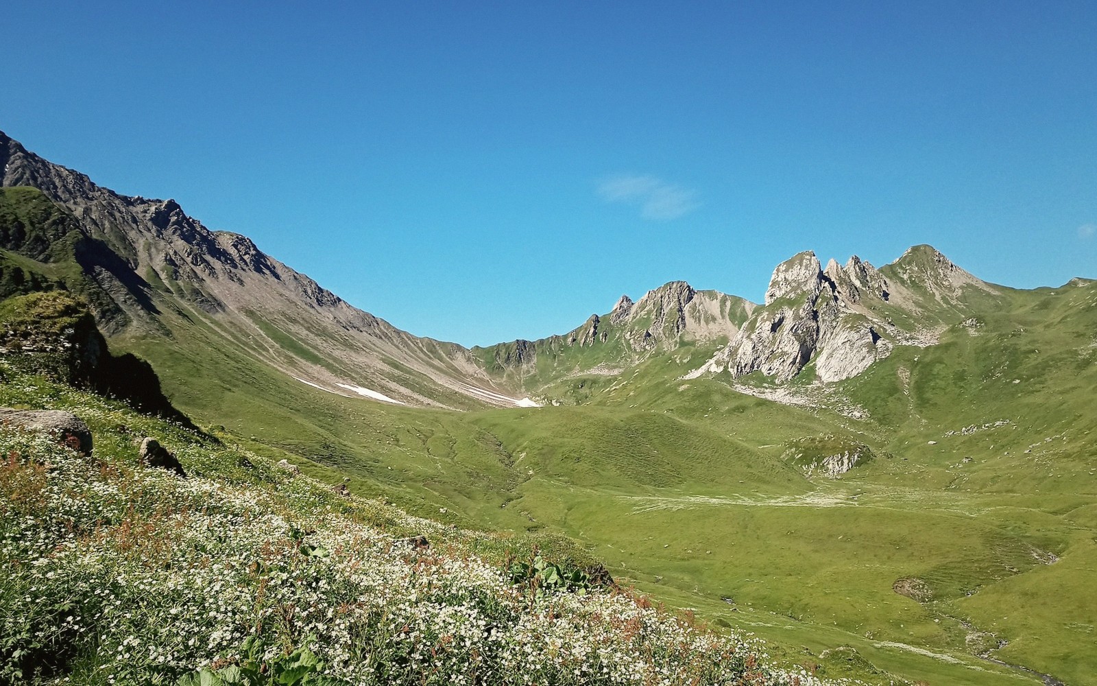 A summer alpine meadow and mountain trail